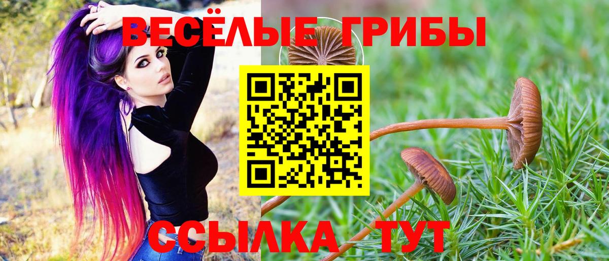 Галлюциногенные грибы MAGIC MUSHROOMS  Вход с VPN  Псилоцибиновые грибы ЛСД  Лениногорск 