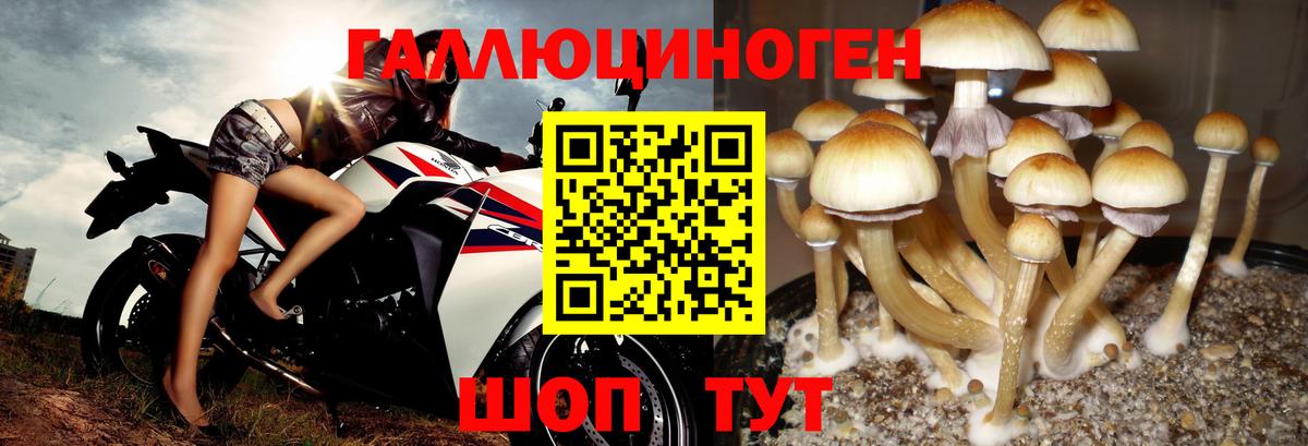 Лениногорск  COCAIN  MDMA  Марихуана  ГАШ  ГАШ  Вход с VPN  Меф кристаллы 